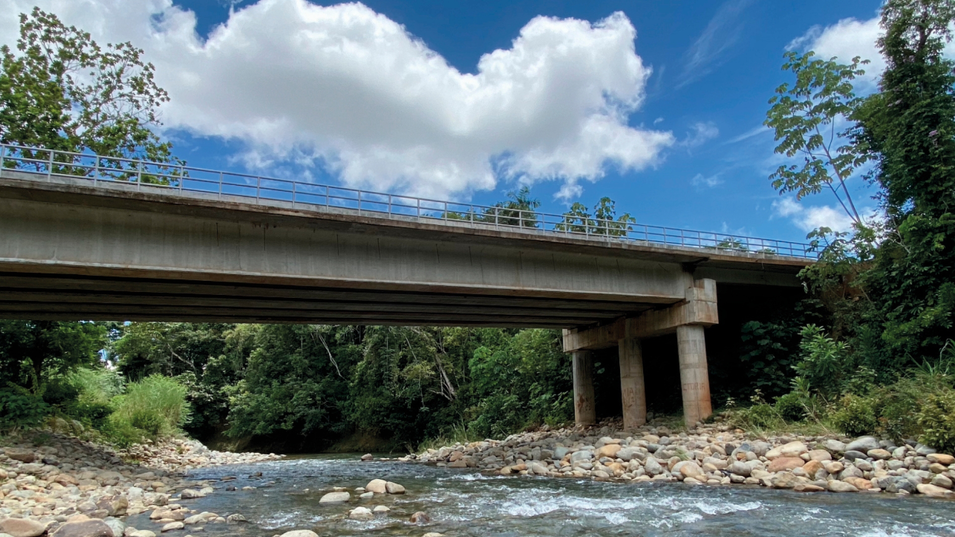 puente-foresta