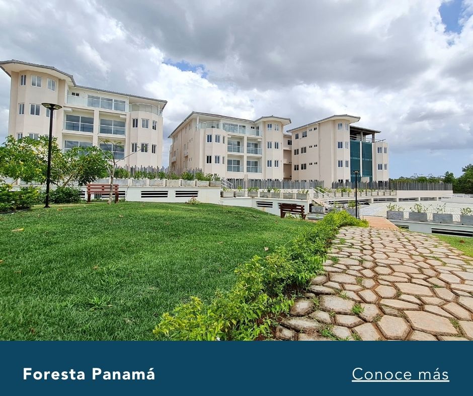foresta-panama